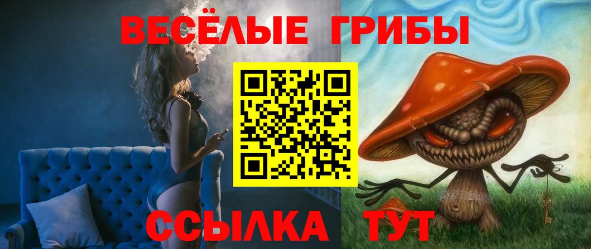 Егорьевск  наркотики  Вход с VPN  Галлюциногенные грибы GOLDEN TEACHER 